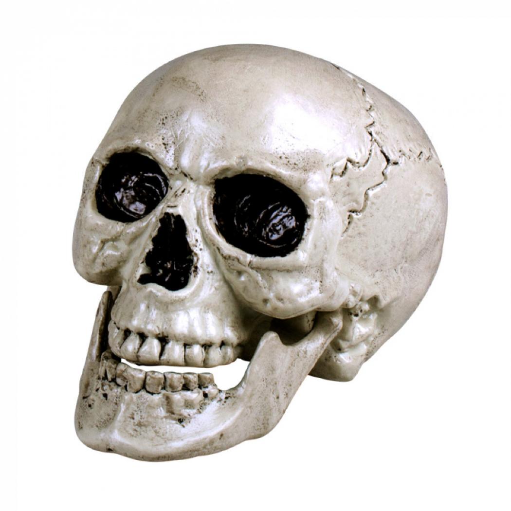 Crâne tête de mort 24 cm