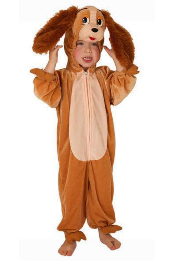 Chien Lily 2/3 ans