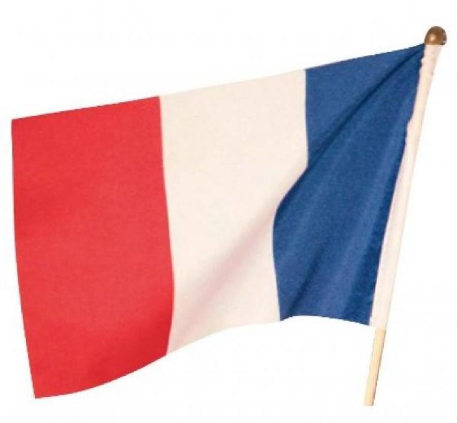 10 drapeaux tissu France 14x21cm