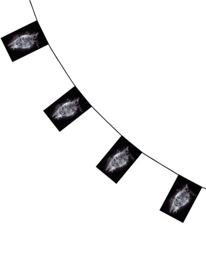 Guirlande skull tête de mort 4m