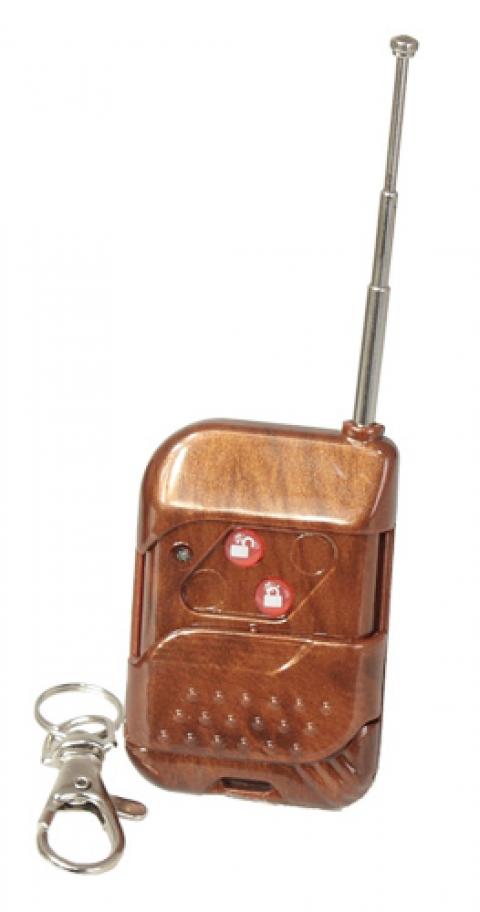 Machine à fumée 900 W à télécommande