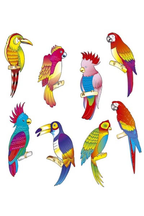 8 decos oiseaux tropicaux