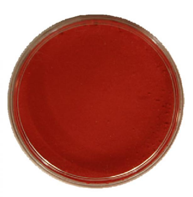 Maquillage kryolan 2 coloris au choix