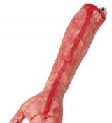 Bras sanglant 44cm