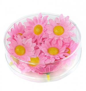 Marguerites de décoration rose