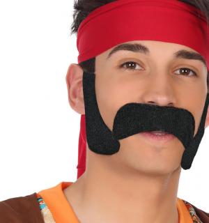 Set moustaches et pattes noires