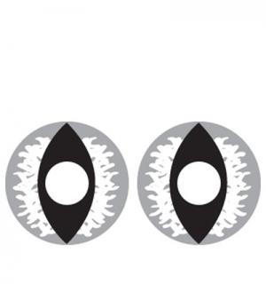 Paire de lentilles cosmétiques GREY DRAGON 3 mois