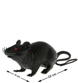 Rat 22 cm