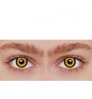 Paire de lentilles cosmétiques TWILIGHT 3 mois