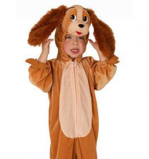 Chien Lily 5/7 ans
