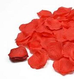 640 pétales de rose en tissu rouge