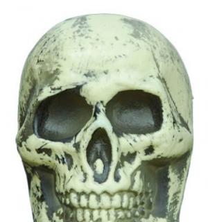 Tête de Mort 12.5 cm