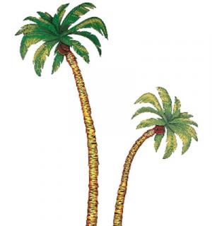 Set 2 palmiers 180/116cm