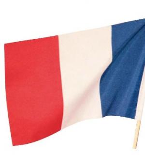 50 drapeaux France 14X21 cm