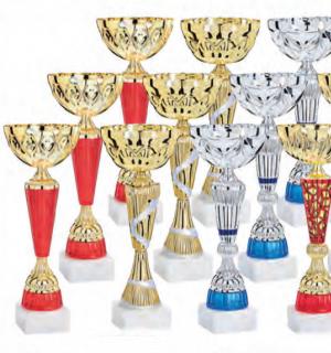 Lot de 30 coupes hauteur moyenne 33,7cm livré