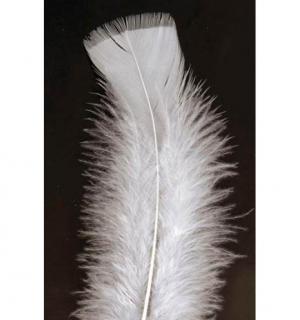100 Plumes blanches de 10cm