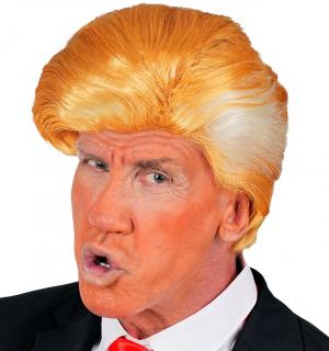 Perruque Président des Etats Unis
