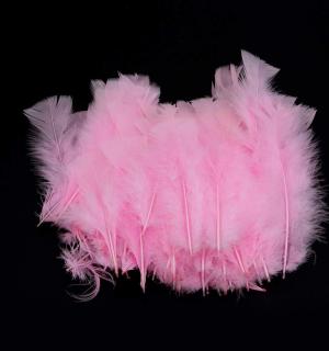 Sachet de plumes roses 10 grammes