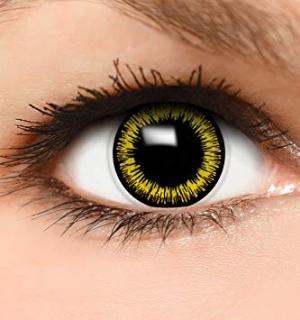 Paire de lentilles cosmétiques LOUP JAUNE 3 mois