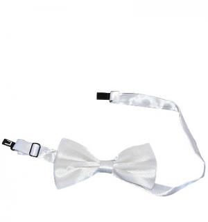 Noeud papillon blanc