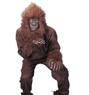 Singe adulte