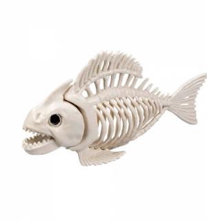 Squelette de poisson