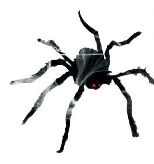 Araignée poilue noire 80cm rampante