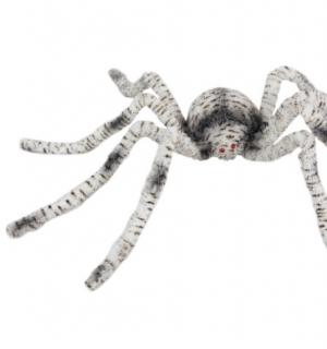 Araignée tigrée poilue 90cm
