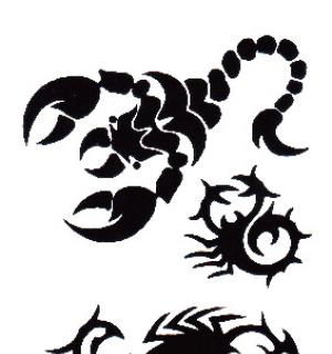 Tatouage temporaire scorpions