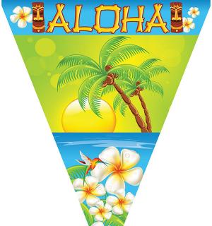 Guirlande aloha 5 mètres