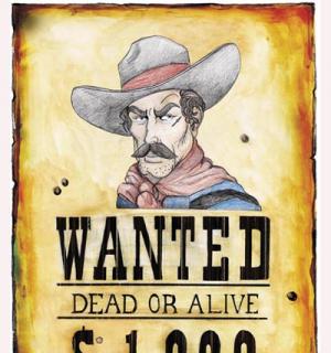 Affiche wanted 38x50 cm
