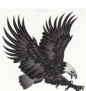 Tatouage temporaire aigle noir et blanc