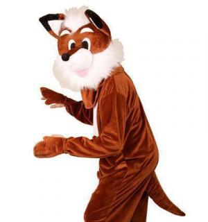 Renard à grosse tête