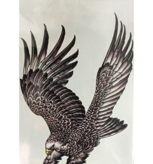 Tatouage temporaire aigle couleur
