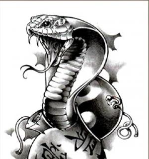 Tatouage temporaire cobra Asie