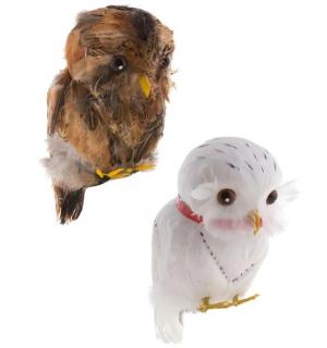 Hibou empaillé