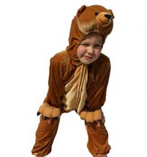 Ours 2/3 ans