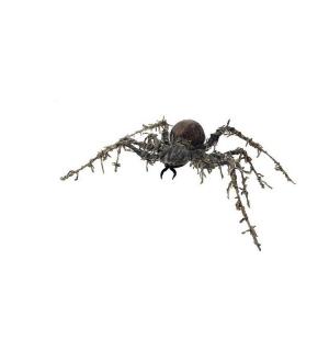 Araignée marron horrible 60x43cm