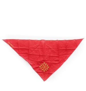 Foulard triangulaire occitan
