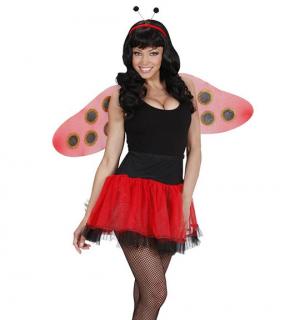 Set coccinelle adulte