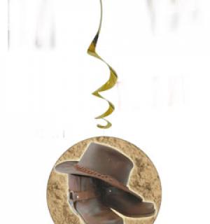 Suspensions western