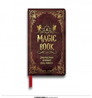 Livre de magie