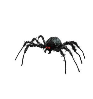 Araignée géante noire à poils 