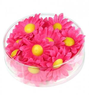Marguerites de décoration fuchsia