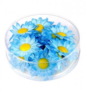 Marguerites de décoration bleu azur