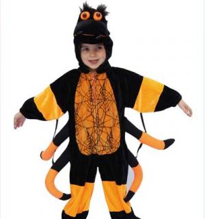 Araignee orange et noire 2/3 ans