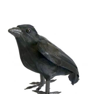 Corbeau plumes décoration 16 cm