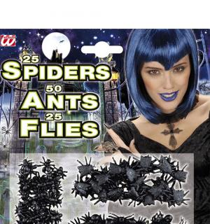 Blister insectes mouches  fourmis