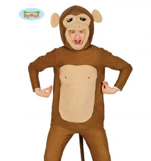 Singe taille M/L