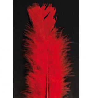 100 Plumes rouges de 10 cm